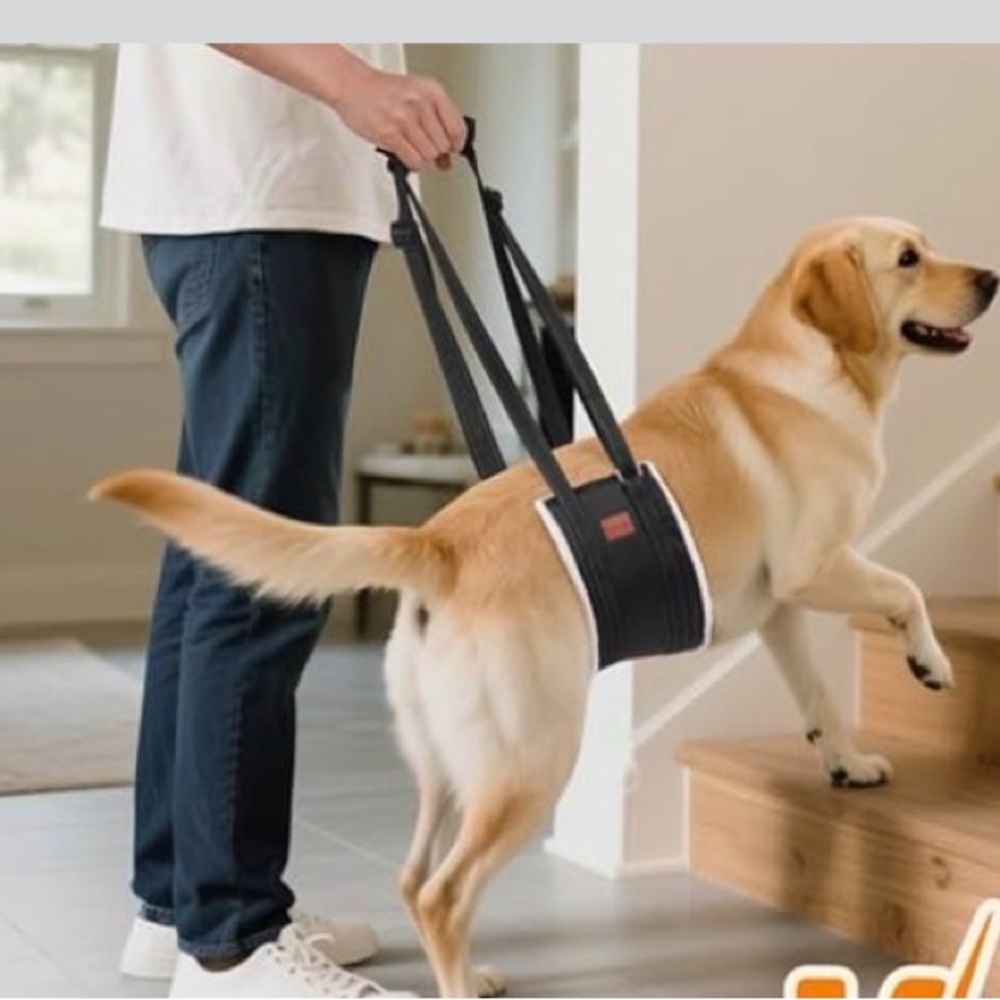 Portable Dog Sling for Back Legs, Hip Support for Small dog